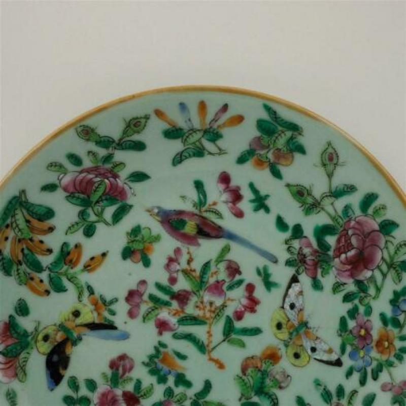 Chinees celadon bord met famille rose versiering (2)