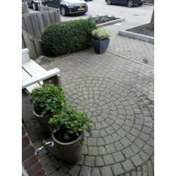 GRATIS!Zelf eruit halen ong 10m2