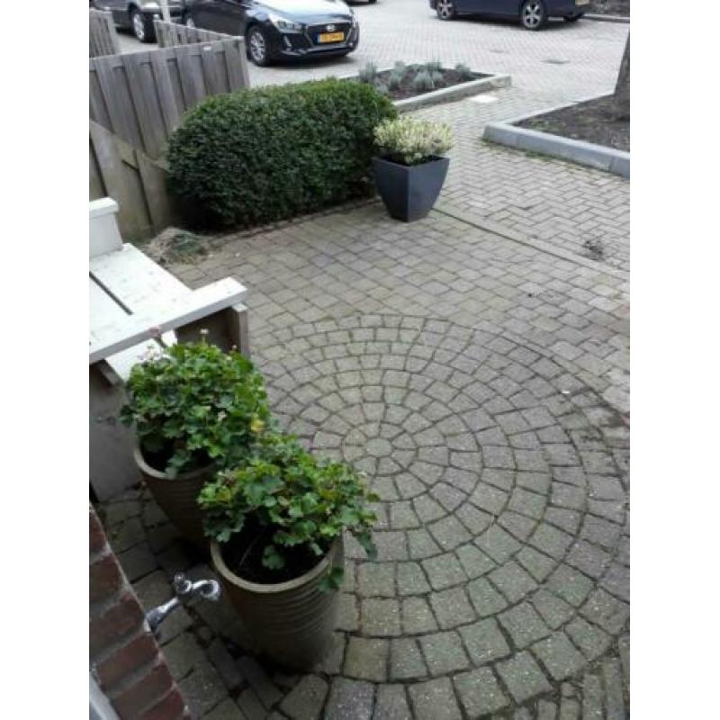 GRATIS!Zelf eruit halen ong 10m2