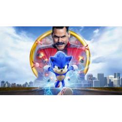 SONIC THE HEDGEHOG Polyester Poster Banner Vlag