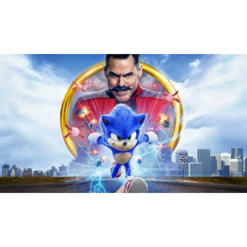 SONIC THE HEDGEHOG Polyester Poster Banner Vlag