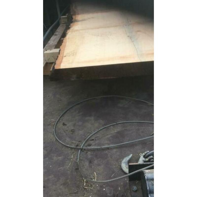 eiken hout boom stam koop planken tafelbladen balken