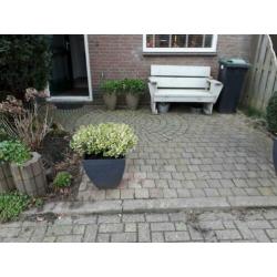 GRATIS!Zelf eruit halen ong 10m2