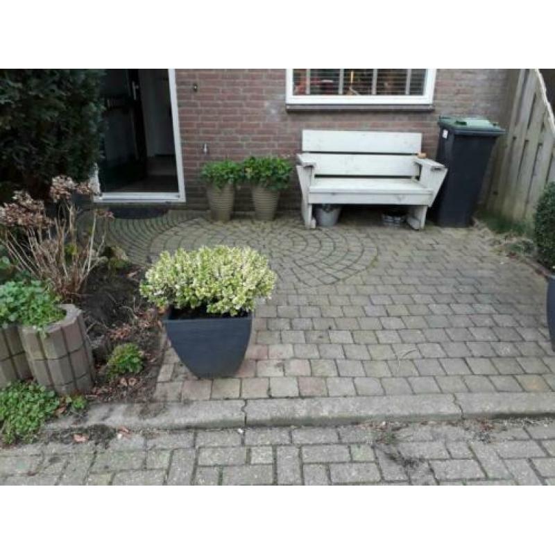 GRATIS!Zelf eruit halen ong 10m2
