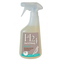 H24