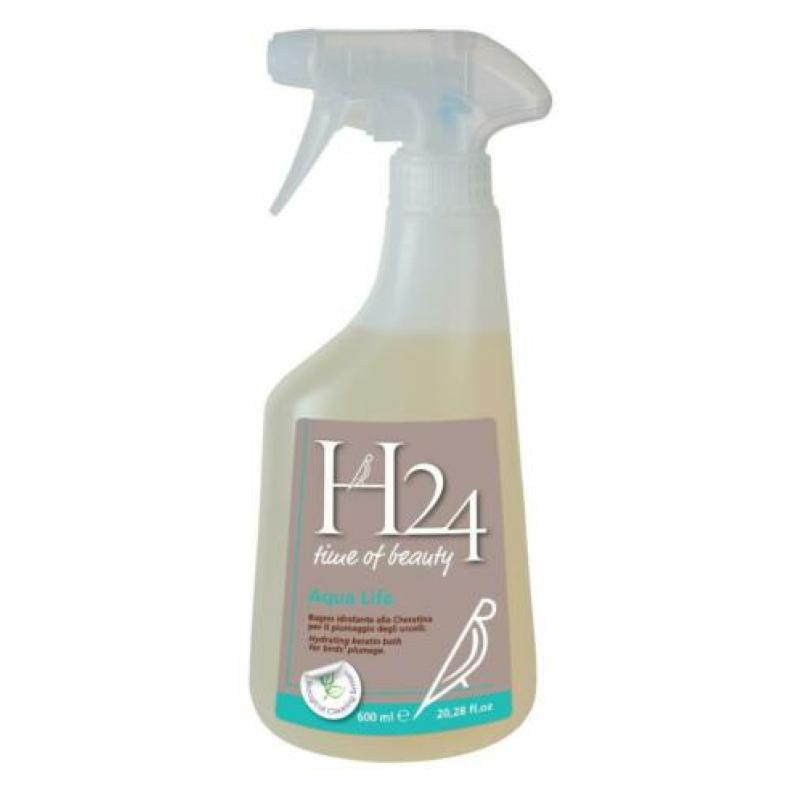H24