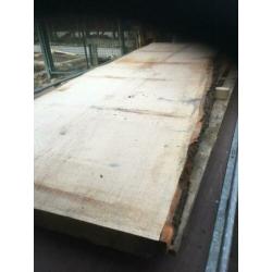 eiken hout boom stam koop planken tafelbladen balken