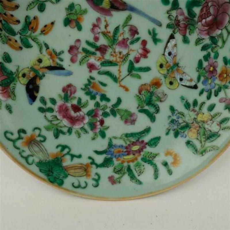 Chinees celadon bord met famille rose versiering (2)
