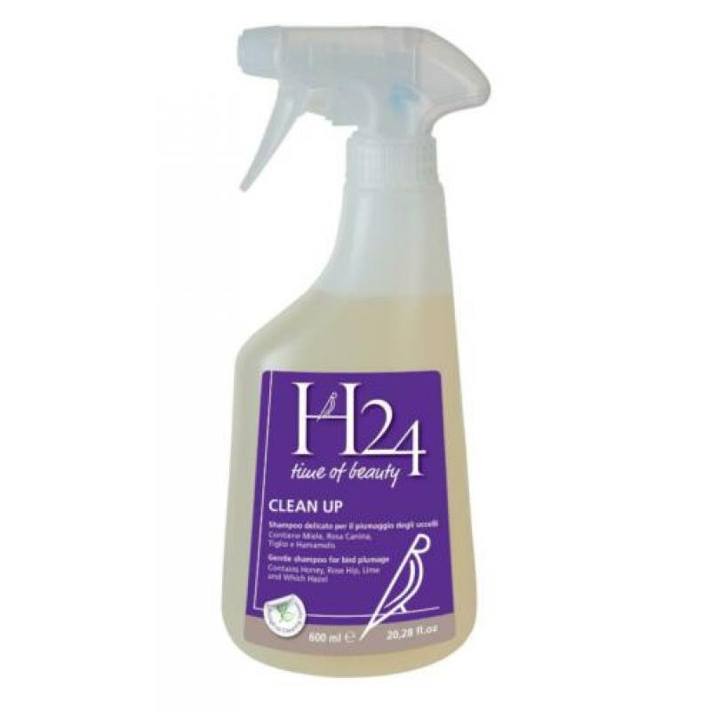 H24