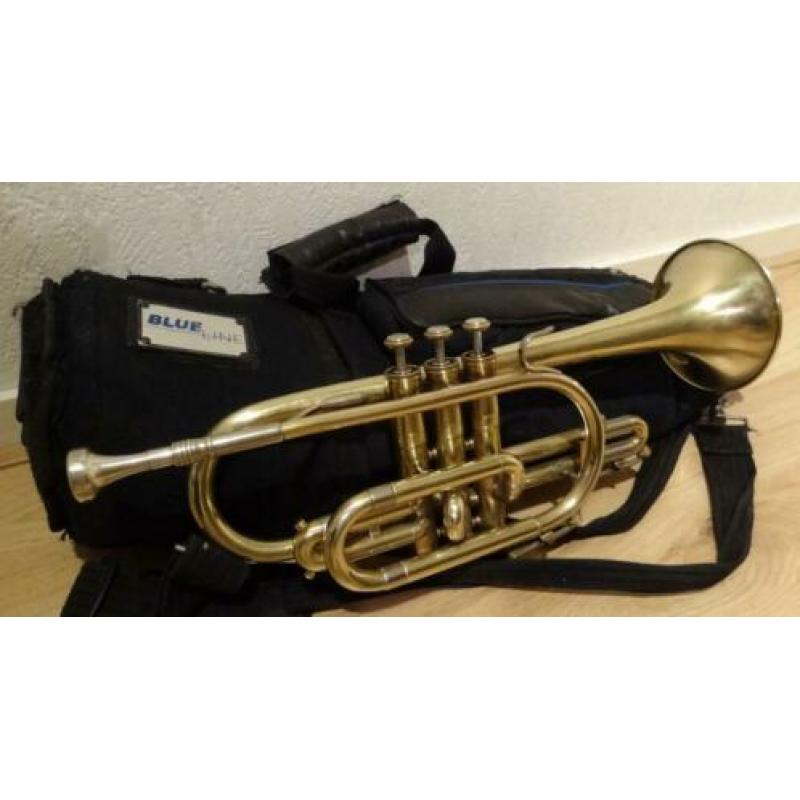 Holton cornet Raw Brass