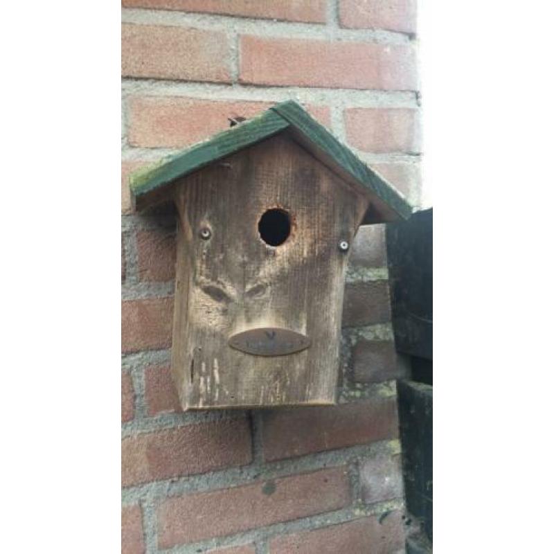 4 unieke vogel huisjes