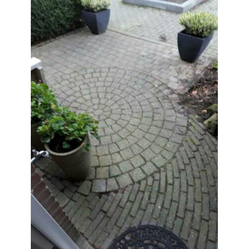 GRATIS!Zelf eruit halen ong 10m2