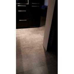 Nieuwe Homflor Palladiana laminaat tegels
