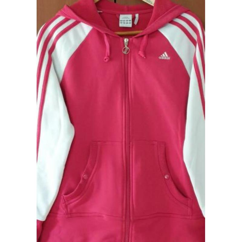 Adidas vest met capuchon maat 40