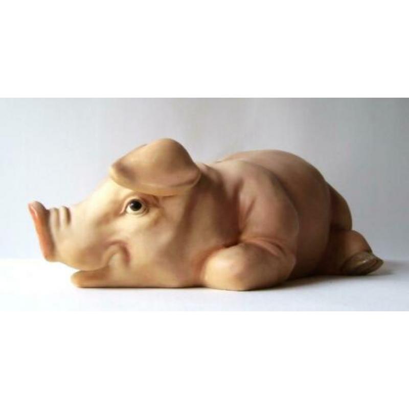 ZELDZAAM .... Een "Beeld" van een VARKEN