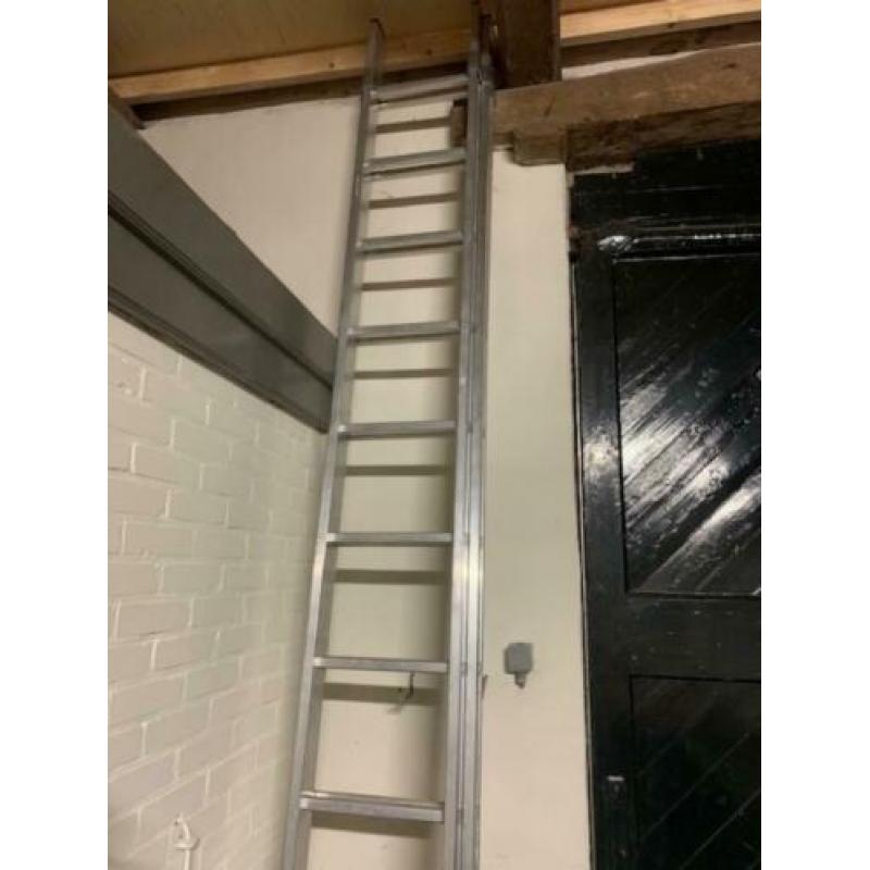 ladder 2x12 treeds