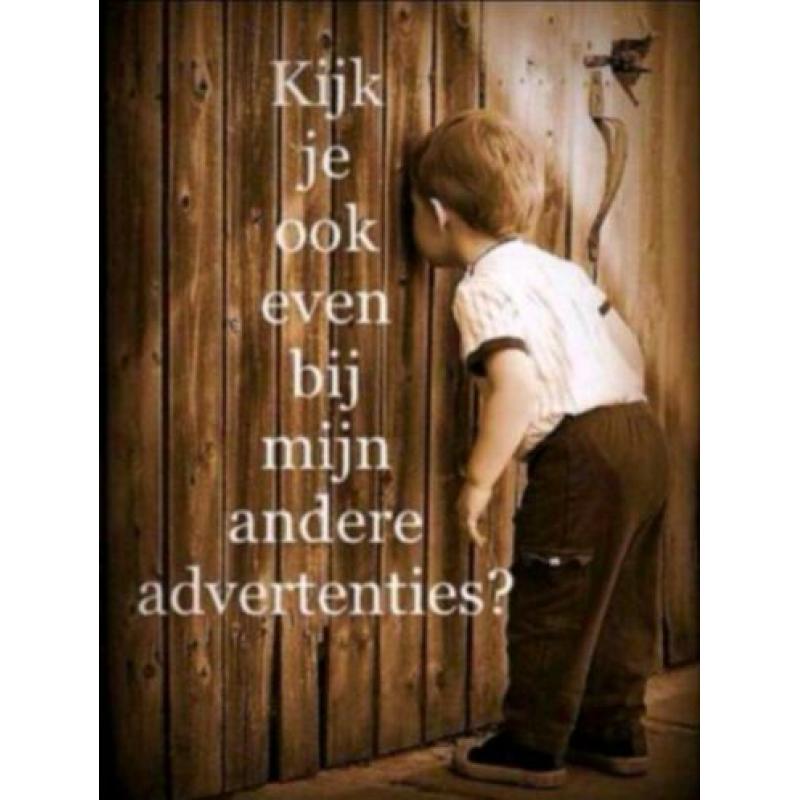 maat 164 BAD BOYS jas voor het voorjaar voor 5 euro