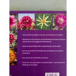 Dahlia's. In moestuin potten en borders