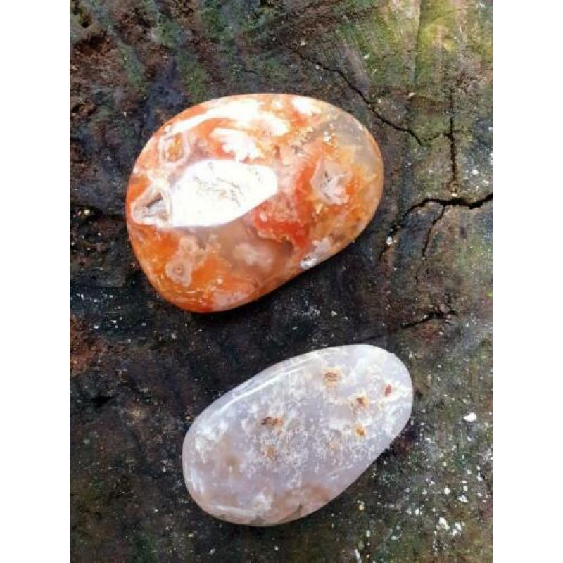 2 stuks XL handsteen bloem agaat/ flower agaat
