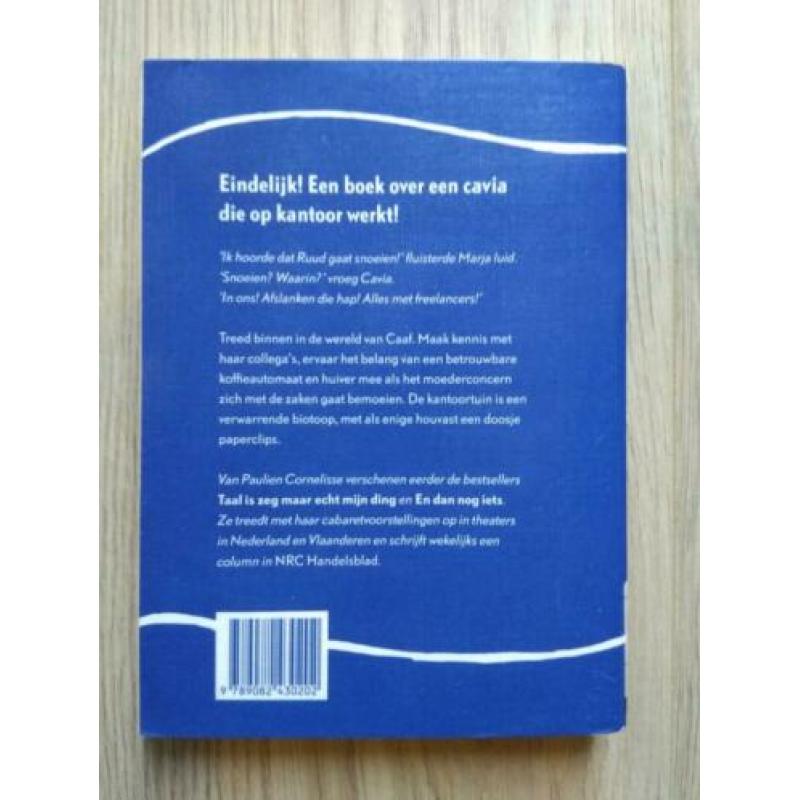 De verwarde cavia- Paulien Cornelisse