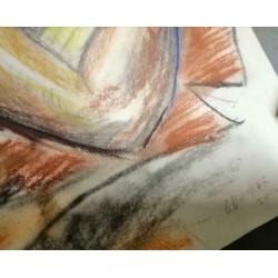 Prachtige krijt tekening Gijs Donker after nature naakt 2002