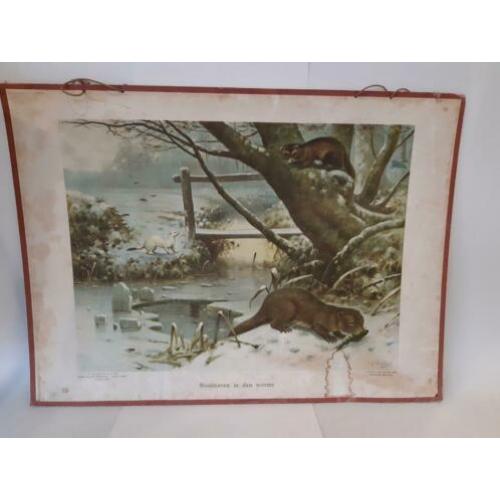 Vintage schoolplaat 'dieren in den winter ' 1.02x74 cm
