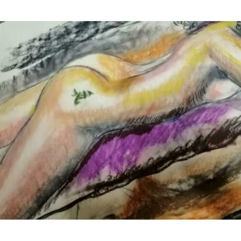 Prachtige krijt tekening Gijs Donker after nature naakt 2002