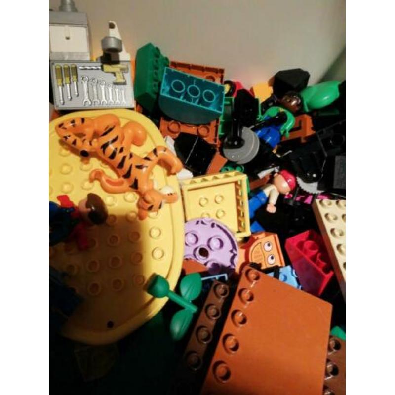 Bak met duplo