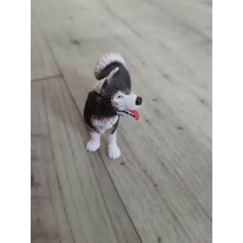 Schleich Husky