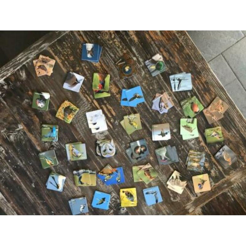 Meno spel Vogels ( vogelbescherming Nederland)