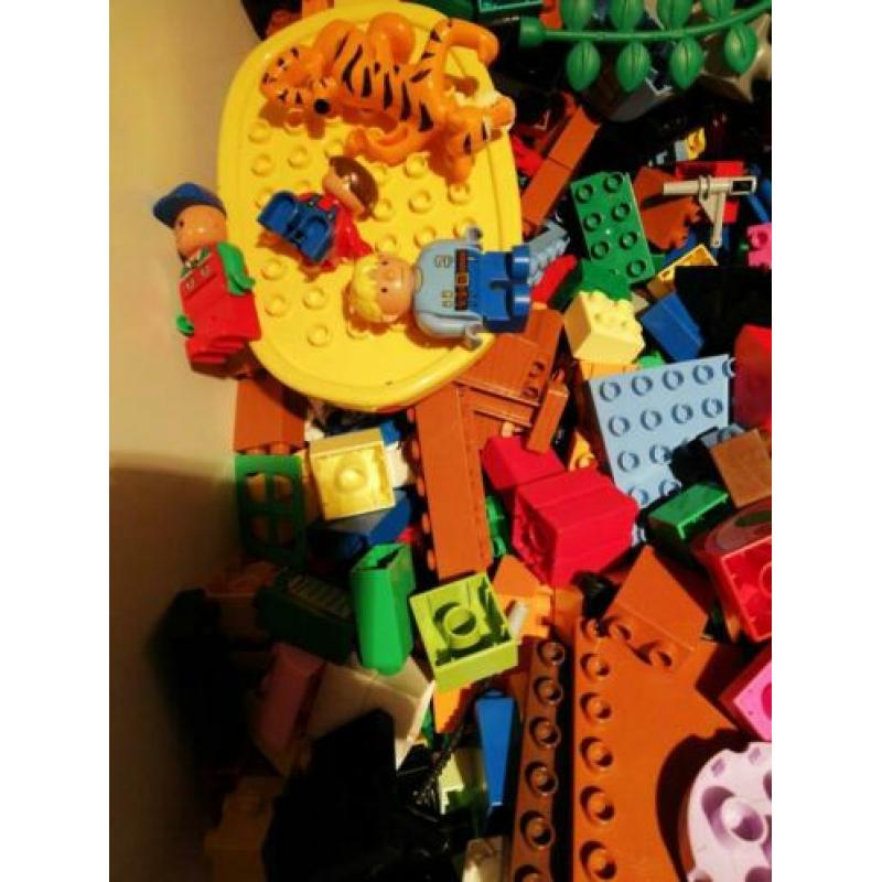 Bak met duplo