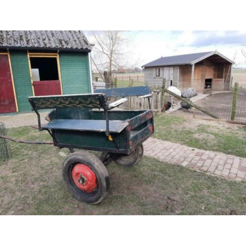 Pony kar/ pony wagen