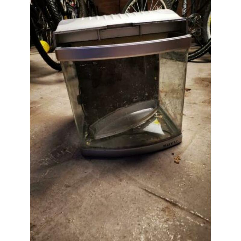 Aquarium 30x30x30 +- met pomp en kijk venster