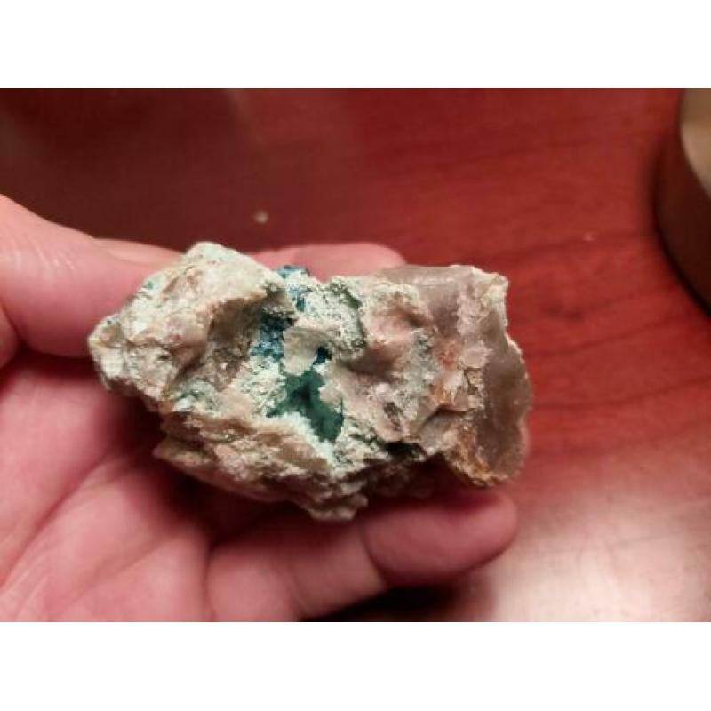 Groene Dioptaas Kaokaveld Namibie verzameling Dio1