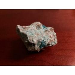 Groene Dioptaas Kaokaveld Namibie verzameling Dio1
