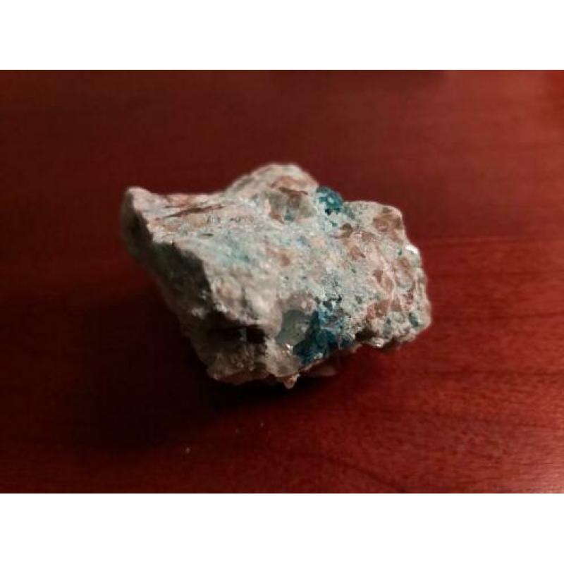 Groene Dioptaas Kaokaveld Namibie verzameling Dio1