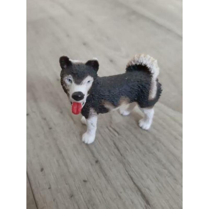 Schleich Husky