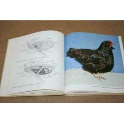 Fraai boek over kippen (rassen, verzorging etc.) Ruud Haak!