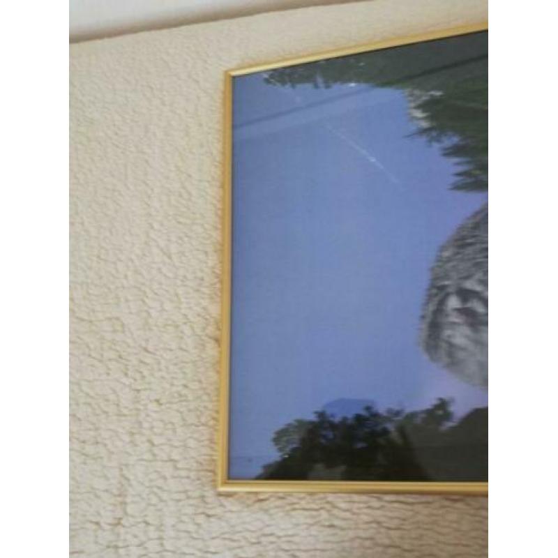 een heel goede goudkleurige fotolijst met glas plaat er voor