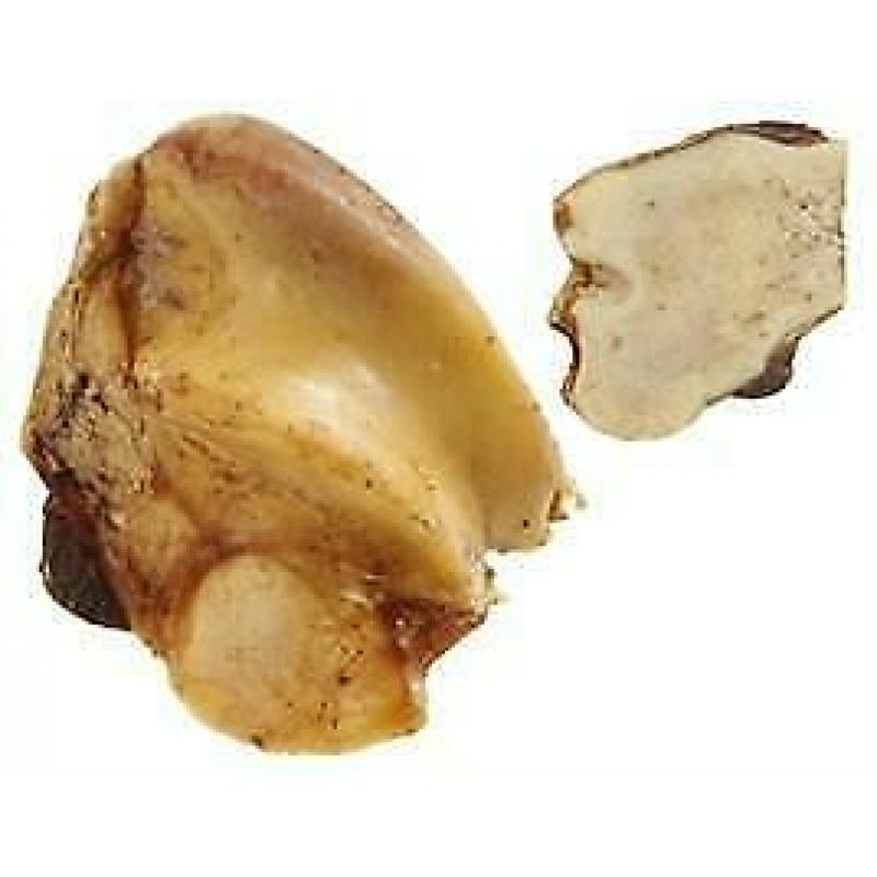 Petsnack runderknook met vlees 10 st