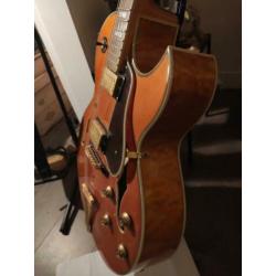 Samick Greg Bennett Jazz Gitaar