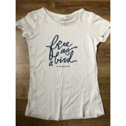 Set 5 T-Shirts maat 158-164 (xxs - Xs)