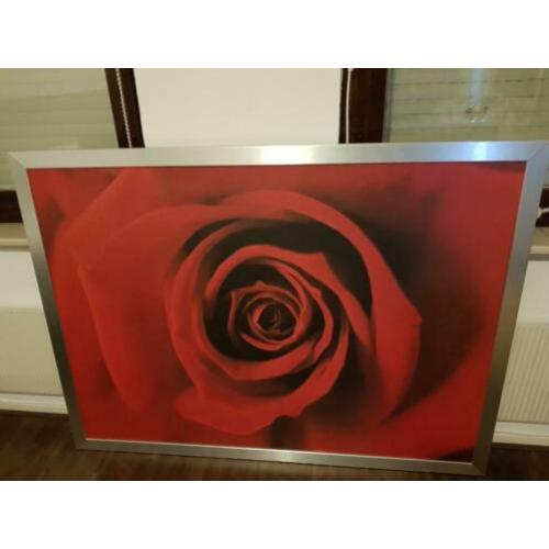 Schilderij roos 140×100, ZGAN
