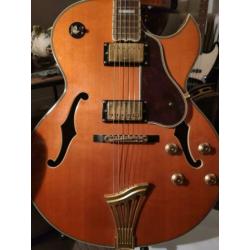 Samick Greg Bennett Jazz Gitaar