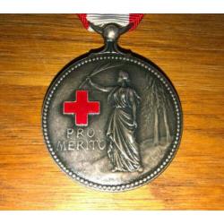 Zilveren Rode Kruis medaille.