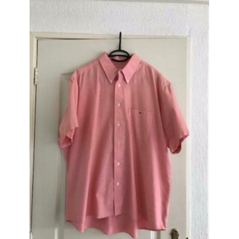 Lacoste overhemd maat XL te koop!!