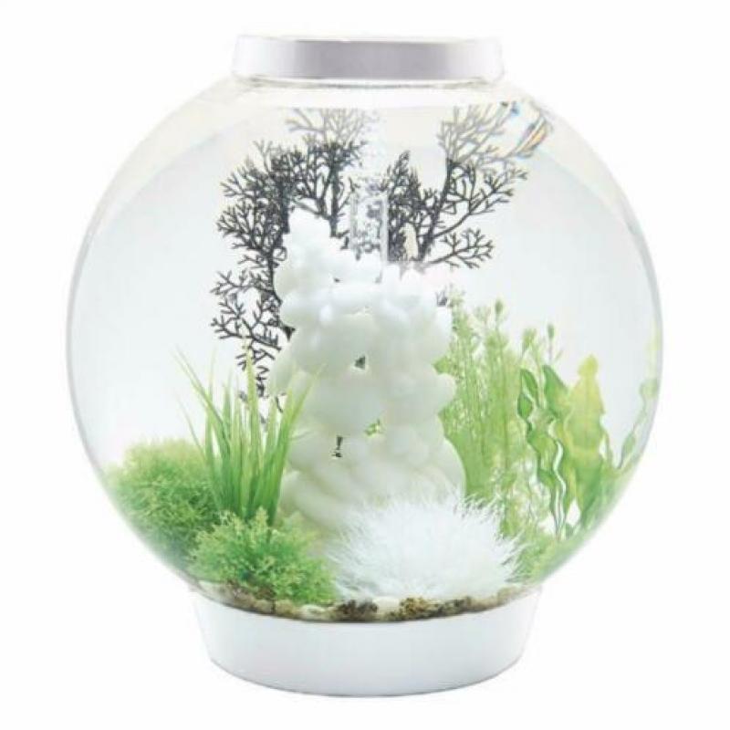 biOrb CLASSIC | 60 MCR | Wit