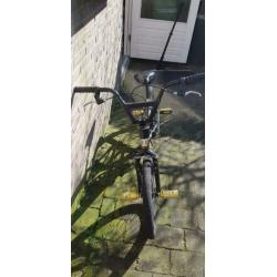 BMX Tornado, royaal bugatti