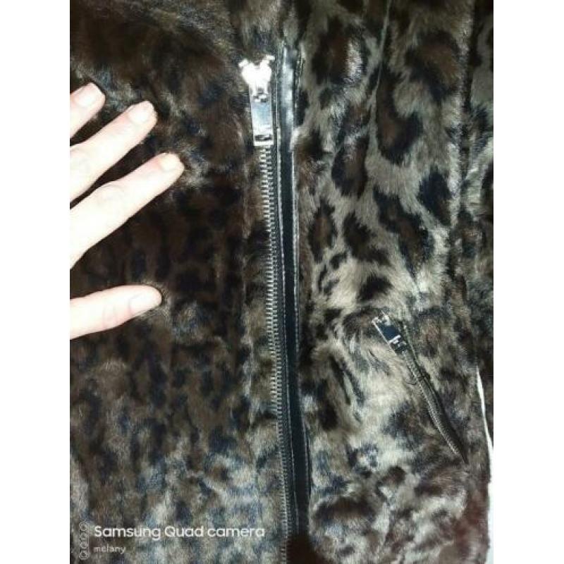 pull&bear jas