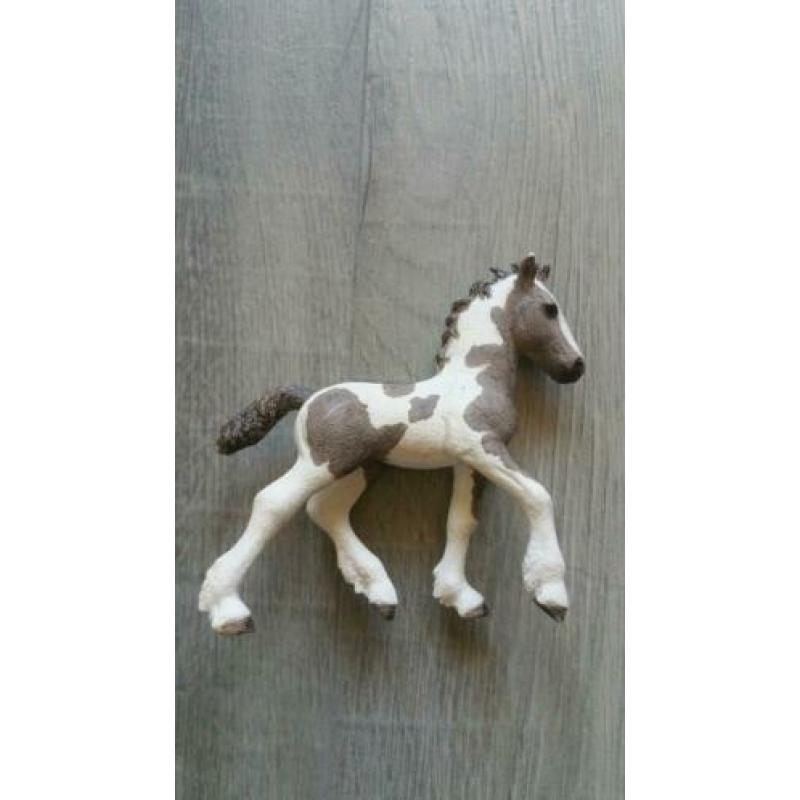 2 sleich veulens te koop